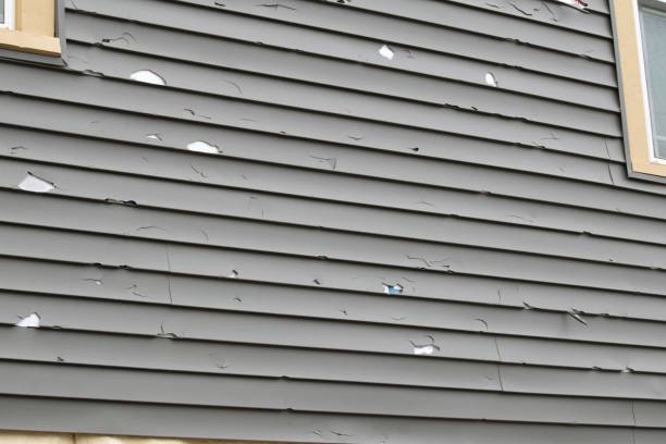 Affordable Siding Repair and Maintenance Services in Port Jefferson Station, NY